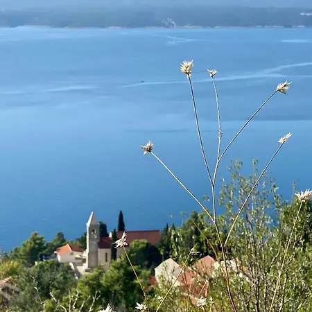 Forte-exclusive Retreat, Heated Infinity Pool & Amazing Views